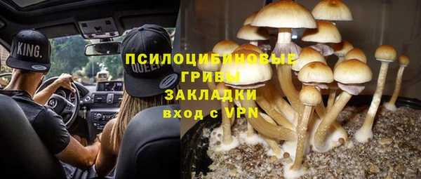 дмт Осташков